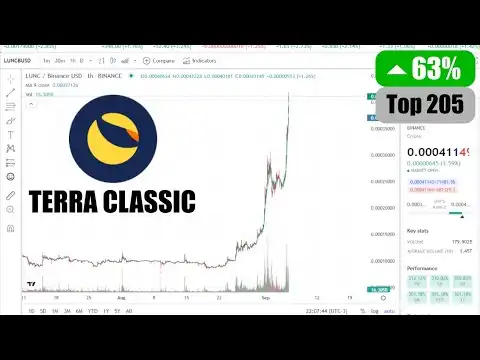 Terra Classic Coin - LUNC/BUSD - Crypto Market - Technical Analysis