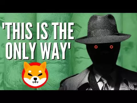 CEO OF SHIBA INU COIN REVEALED SECRET PRICE PUMP IN 48 HOURS EXACTLY!!! - SHIB EXPLAINED