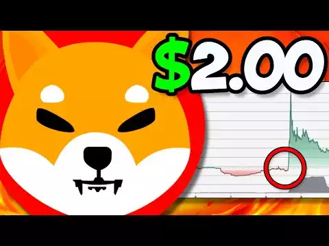 BREAKING: THIS SHIBA INU PRICE PREDICTION WILL BLOW YOUR MIND!! - SHIB NEWS