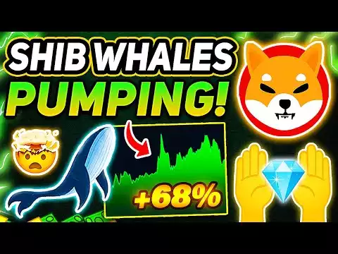 SHIBA INU WHALES HAVE BEEN QUIETLY ACCUMULATING SHIB TOKENS! (GET READY)