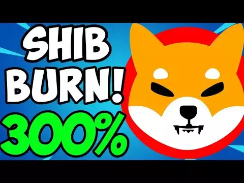 SHIB Burn Rate Jumps 3,000% in 24 Hours!!! EXPLAINED! Shiba Inu Coin News Today
