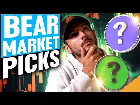 Two Bear Market Altcoin Gems! (Why Bitcoin Broke Down)