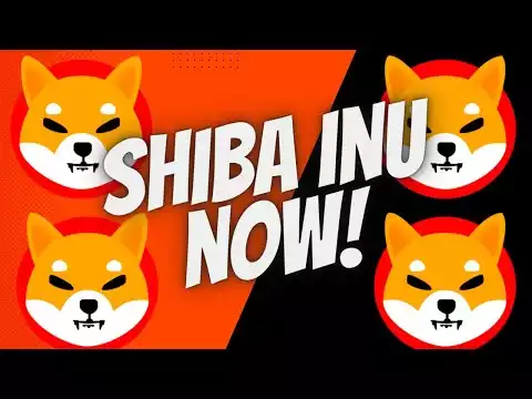 Shiba Inu Dev Dropping Metaverse, Chasing Shibarium Down, Volt Inu Giving Back To Holders