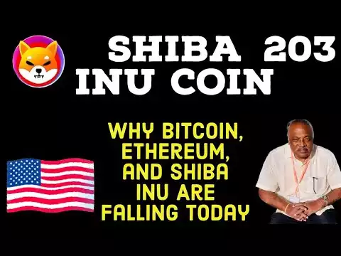 Shiba Inu Has A Lot of zeroes to cancel🔥IN TELUGU #shibainu #shibainucoin