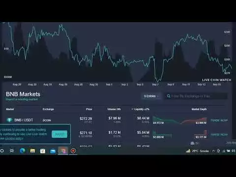 BNB Live Rate, crypto currency today updates, BNB coin, Technicall Saghir