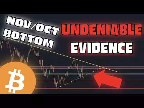 Bitcoin: A Bottom In Oct/Nov - Compelling New Evidence! (BTC)