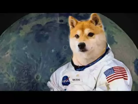 MILLIONAIRES WILL BE MADE!! YOU SHOULD BUY SHIBA INU COIN BEFORE SEPTEMBER 30TH – EXPLAINED