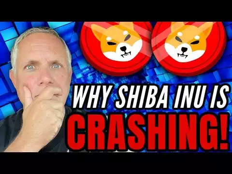 WHY IS SHIBA INU CRASHING? SHIBA INU COIN HOLDERS - YOU NEED TO KNOW THIS ABOUT SHIB!