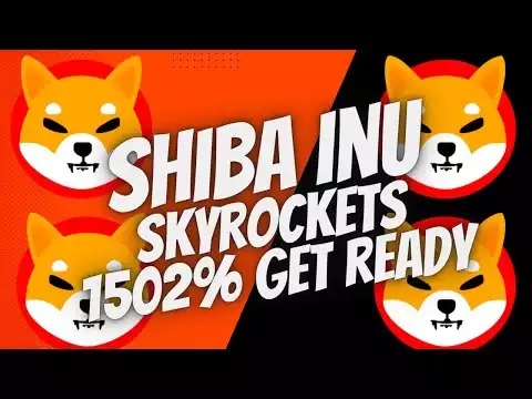 Shiba Inu Skyrockets 1502% Connect The Dots