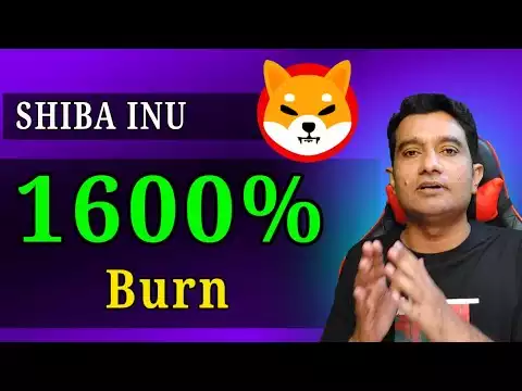 Shiba Inu 1600% Increase rate of Burnings Much is possible || Shib news today