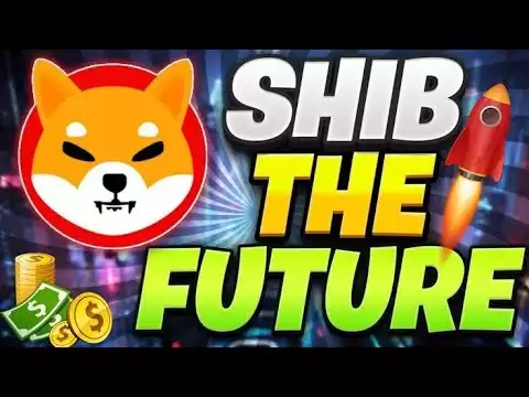 NEW UNITED STATES PROPOSAL WILL SKYROCKET SHIBA INU PRICE!! - Shiba Inu Coin News Today - Shiba News