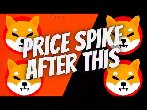 Will Shiba Inu's Price Spike After This?