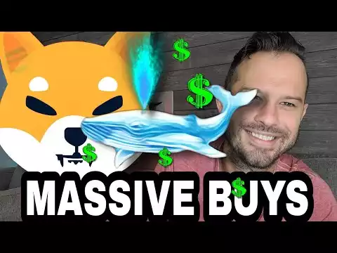 Shiba Inu Coin | Massive Whales Continue To Buy SHIB, Do They Know The Future?