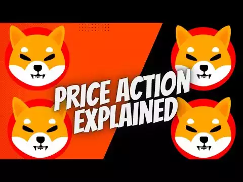 Shiba Inu Price Action Explained By Other Analyst