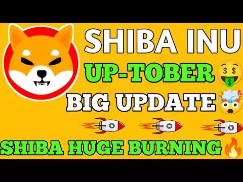 NEXT WEEK🔥BIG BURN🤑SHIBA INU BIG UPDATE🤯🚀SHIBARIUM+💯BURNING🚀करेगी धमाल 🚀#shiba #shibainu