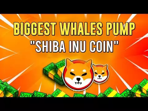 BIGGEST WHALES JUST DID SOMETHING WITH SHIBA INU COIN!! - Shiba Inu Coin News Today - Shiba News