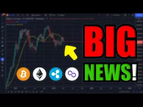 Shiba Inu Coin | Doge Coin News | Bitcoin Update | Crypto News Today
