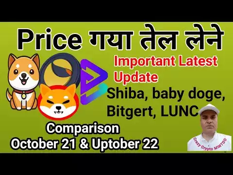 Shiba inu Game, Bitgert Exchange,  Baby doge Swap, LUNC Update || Crazy crypto MINTOO