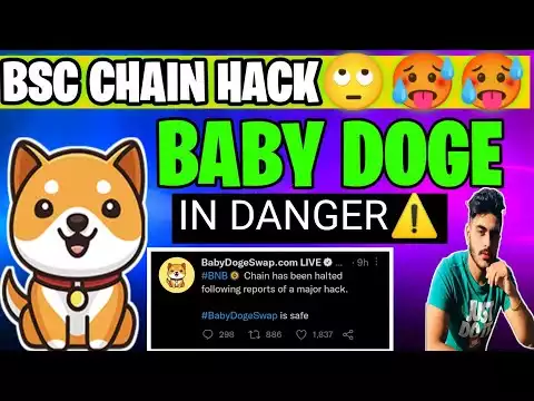 Baby Doge Coin is Safe? �After Bnb chain Hack � Bnb Chain hack� || Baby Doge Coin Long Term Target�