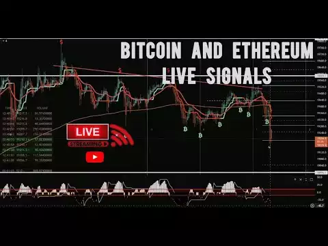 ��� Crypto Trading Signals FREE VIP LEAKS | Bitcoin | Ethereum |