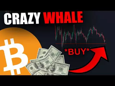 THIS WHALE IS PREVENTING BITCOIN & ETHEREUM FROM DUMPING