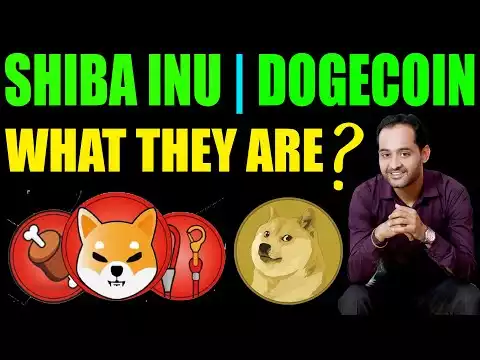 shiba inu coin will be huge with bone, leash, eternity and shibarium blockchain | dogecoin news