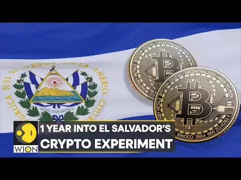 World Business Watch | El Salvador's bitcoin experiment: $60 million lost | Bitcoin | English News