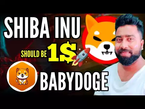 SHIBA INU Shibarium Makes MILLIONAIRE || BABYDOGE COIN Soon 0.01 Paisa || Shiba INU news today