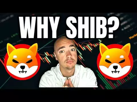 WHY SHIBA INU COIN IS A MUST HAVE CRYPTO!