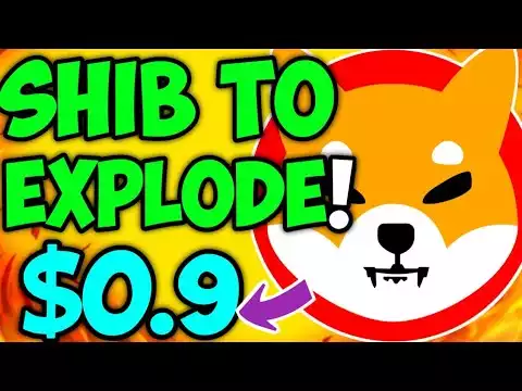 How Much of Shiba Inu Coin's Initial Circulating Token Supply will be Burned!?! Shiba Inu News Today