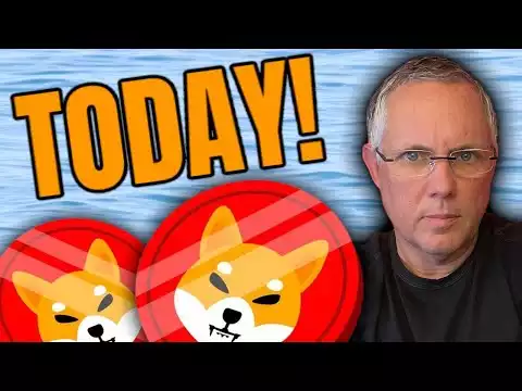 SHIBA INU - TODAY! WHAT IS GOING ON WITH SHIBA INU COIN...