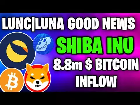 160,000,000,000 shiba Inu Coins whales �Holding � Luna Coin Good News || Crypto News Today