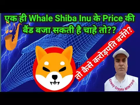 Shiba Inu || One Whale is Enough to Push the Price UP and Down || Crazy crypto MINTOO