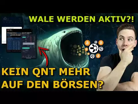 Bitcoin: Wale verschieben Riesige Mengen! Ethereum Zentralisiert?! Quant AUSVERKAUFT?! | Krypto NEWS