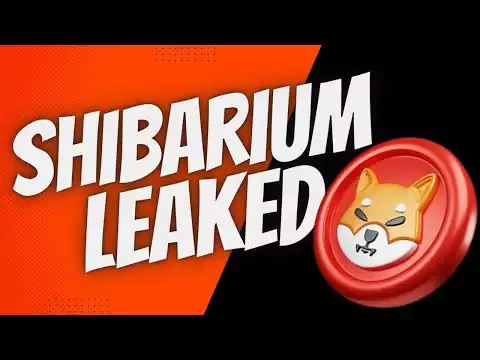 Shibarium Release Date Leaked By Former Team Member