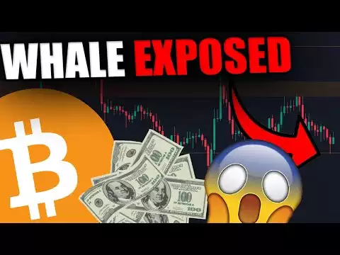 BITCOIN HOLDERS! DID THE $935,000,000 WHALE DUMP THE MARKET? I HAVE MORE INFORMATION...