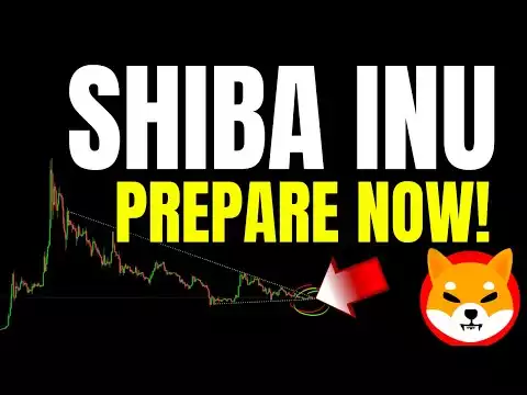 SHIBA INU EXPOSED!!! 🚨 (IT’S HAPPENING NOW!)