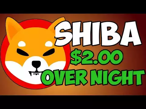 THIS SHIBA INU COIN PRICE PREDICTION WILL SHOCK YOU! SHIB NEWS: ($2.00 OVERNIGHT!)