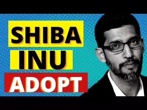 Shiba inu coin News today - Alphabet Company Going To Adopt Shib
