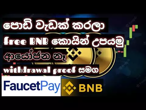 Let's do some work and find bnb coin | BNB coin earning sinhala