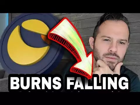 Terra Luna Classic | LUNC Burns Are Falling, How Much Lower Should We Allow It To Go?