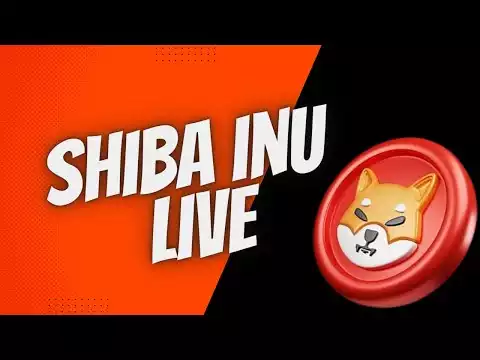 Shiba Inu Live, Crypto Talk w/ December DeMarco