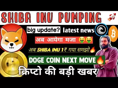 🔥 Shiba inu और doge coin pump के बाद अब क्या करे ? Shiba inu buy or sell ? Doge coin news | crypto