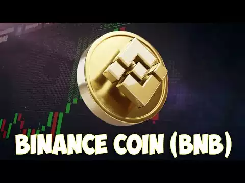 Some basic information about Binance Coin (BNB)