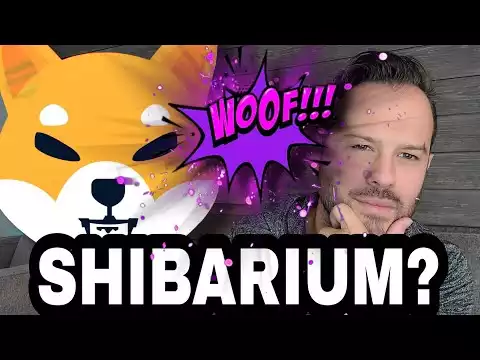 Shiba Inu Coin | Is Shytoshi Saying Shibarium Will Be Released Soon For SHIB?