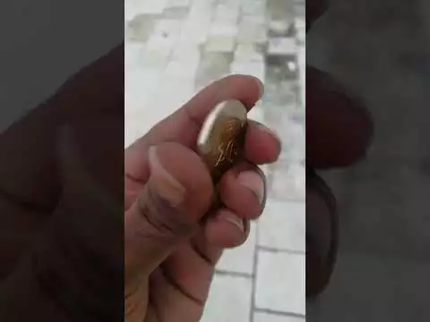 All new 20₹ rupees coin  #inr #coin #bitcoin #yummyvibes #youtubeshorts