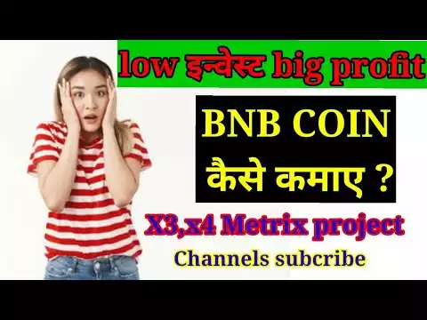 BNB Coin । Metrix project 100% INCOME