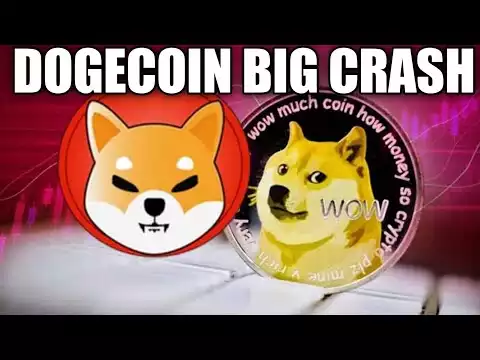 Dogecoin Shiba Inu coin Big Crash. Bitcoin Big Urgent update. Dogecoin News today.#crypto_news_today