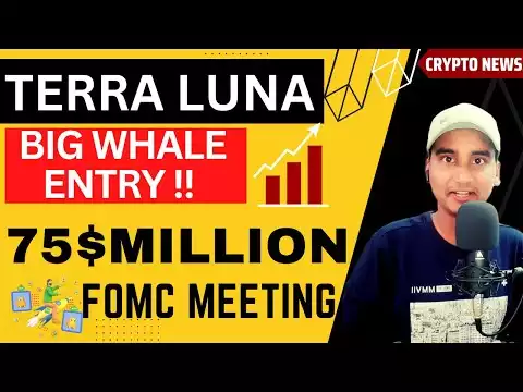 Terra Luna Classic Coin Whale Highest Purchase !�TERRA LUNA CLASSIC WHALES JUST WENT ALL IN | News ?