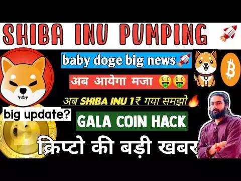 🔥 Shiba inu big update 🚀| baby doge burning 🔥 | gala coin news today | crypto news today |